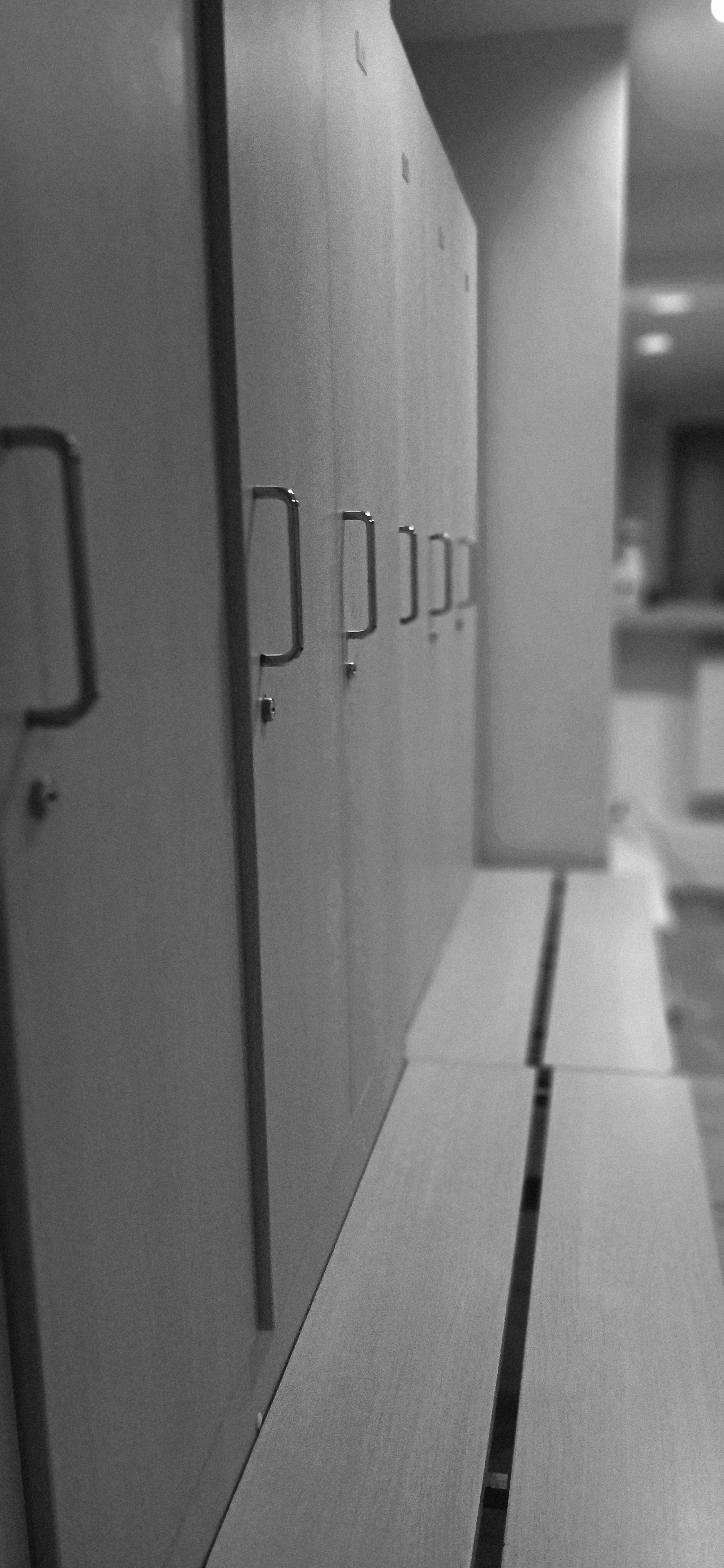 Gallery Image 9